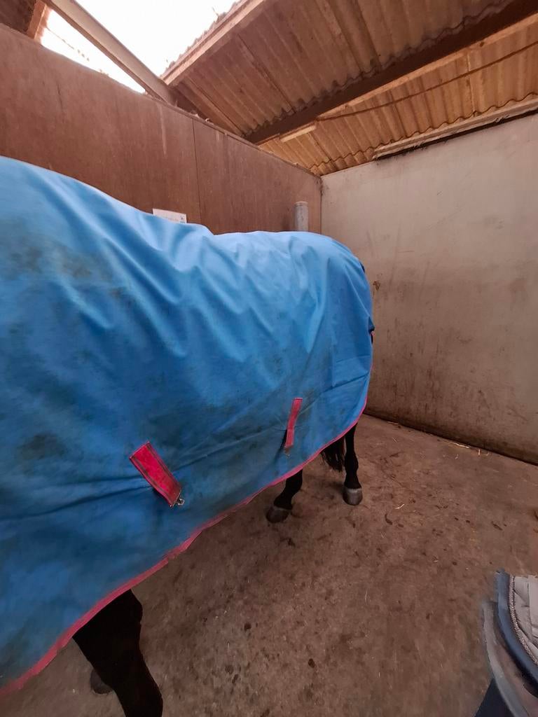 Ponydeken bucas 150 gr 145cm, Ophalen of Verzenden, Gebruikt