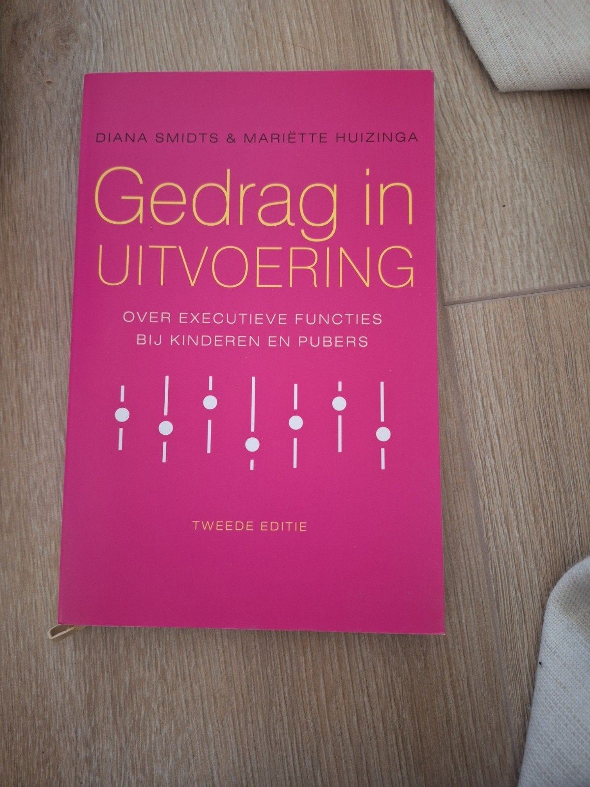 Gedrag in Uitvoering - Executieve Functies Kinderen/Pubers, Boeken, Zo goed als nieuw, Gamma, Diana Smidts & Mariëtte Huizinga