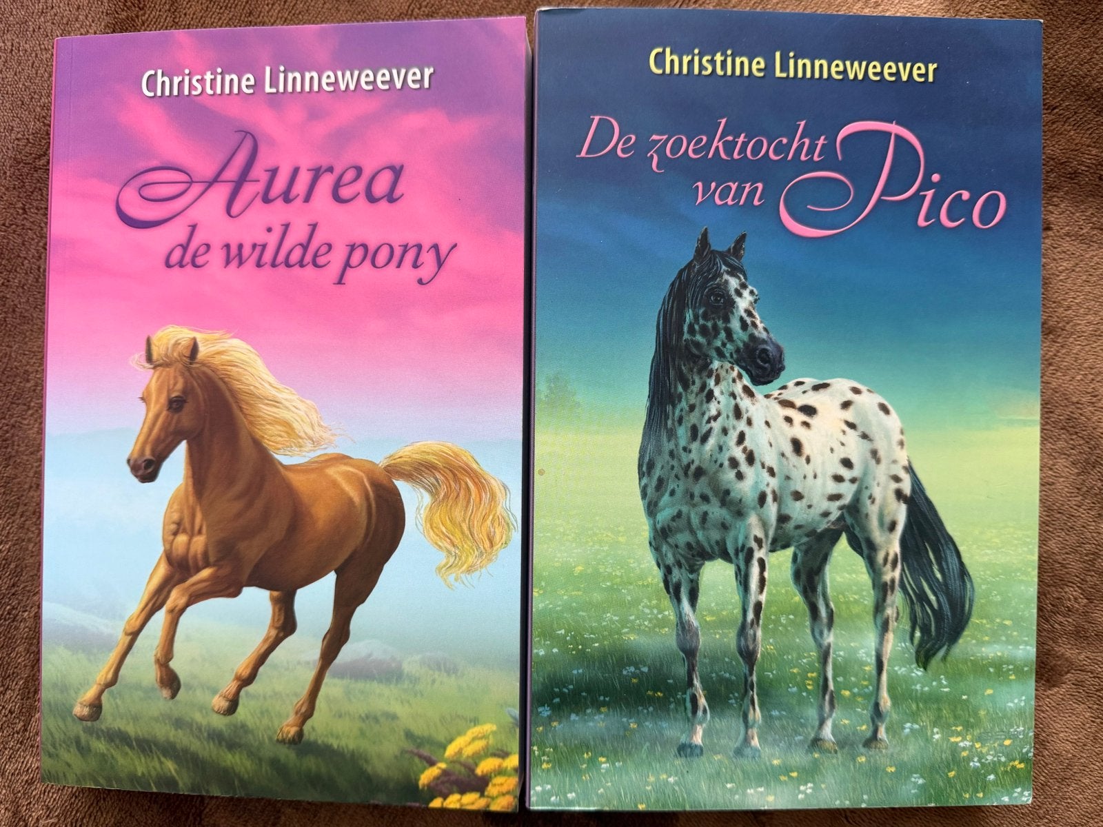 Aurea de wilde pony & De zoektocht van Pico - Christine Linn, Boeken, Ophalen of Verzenden, Nieuw, Fictie algemeen