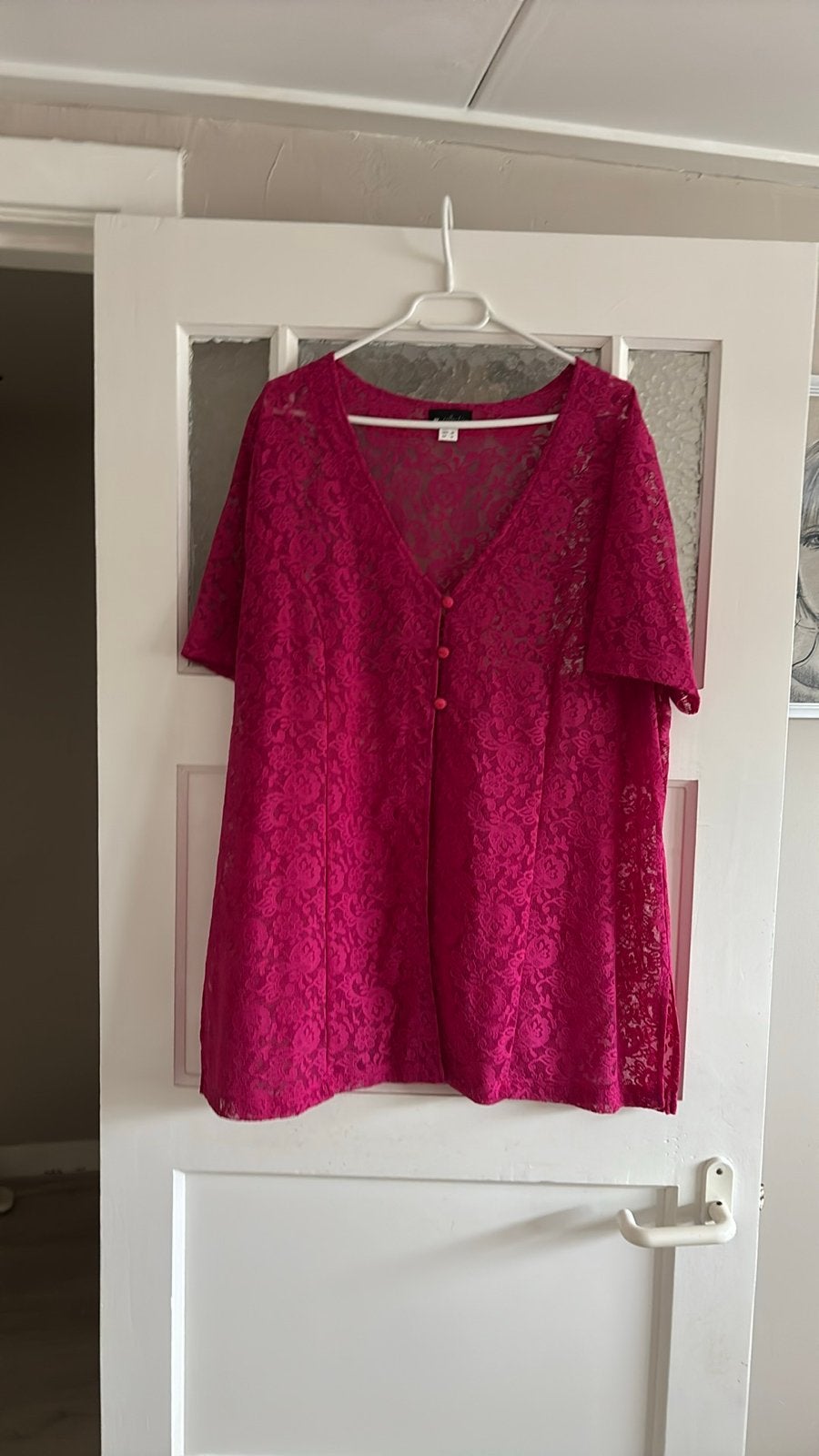 Mooi kanten vestje M Collection maat 50 in nieuwstaat, Kleding | Dames, Grote Maten, Ophalen of Verzenden, Zo goed als nieuw, Roze
