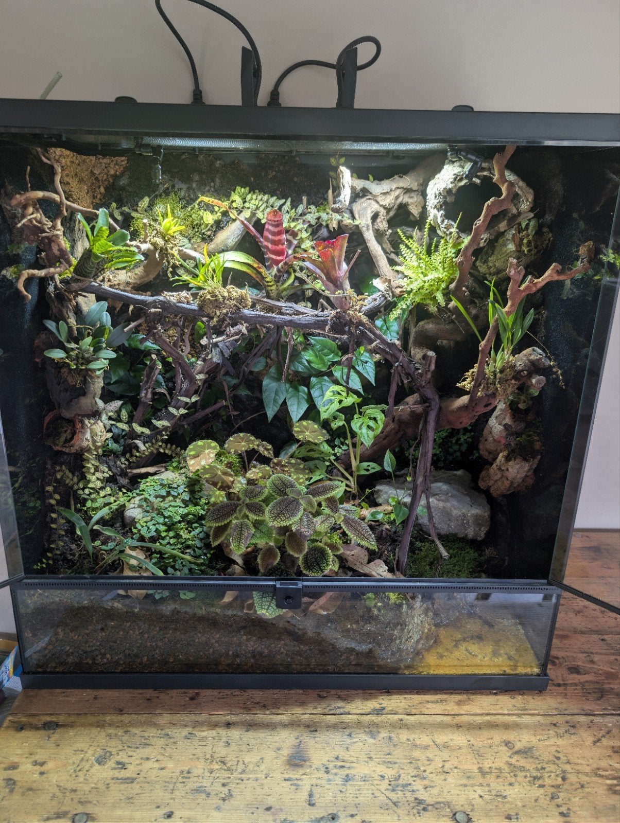Paludarium, Ophalen