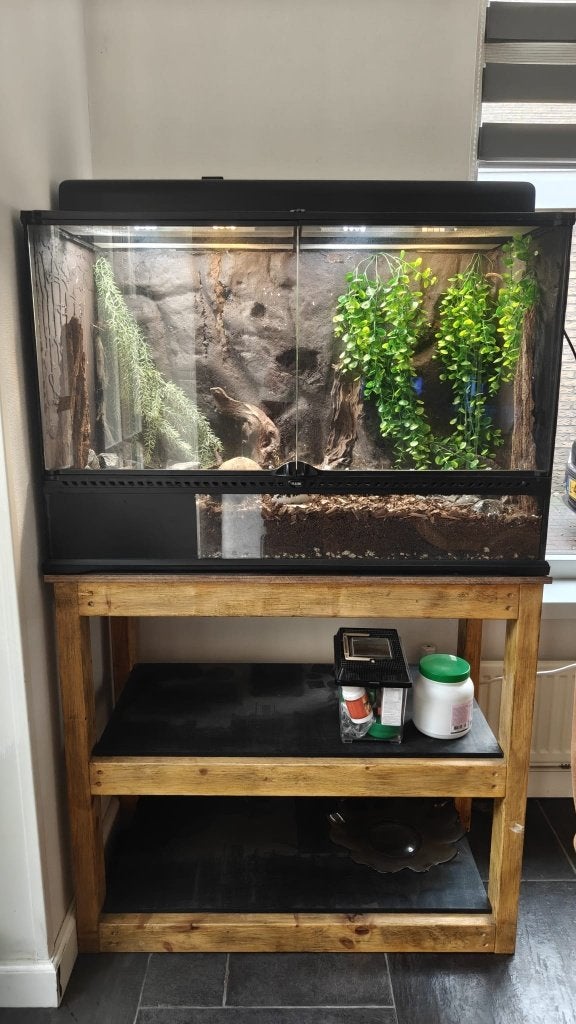 terrarium groot (90x45x60 cm) - inclusief gekko (m), Dieren en Toebehoren, Ophalen, Zo goed als nieuw, Terrarium of Paludarium