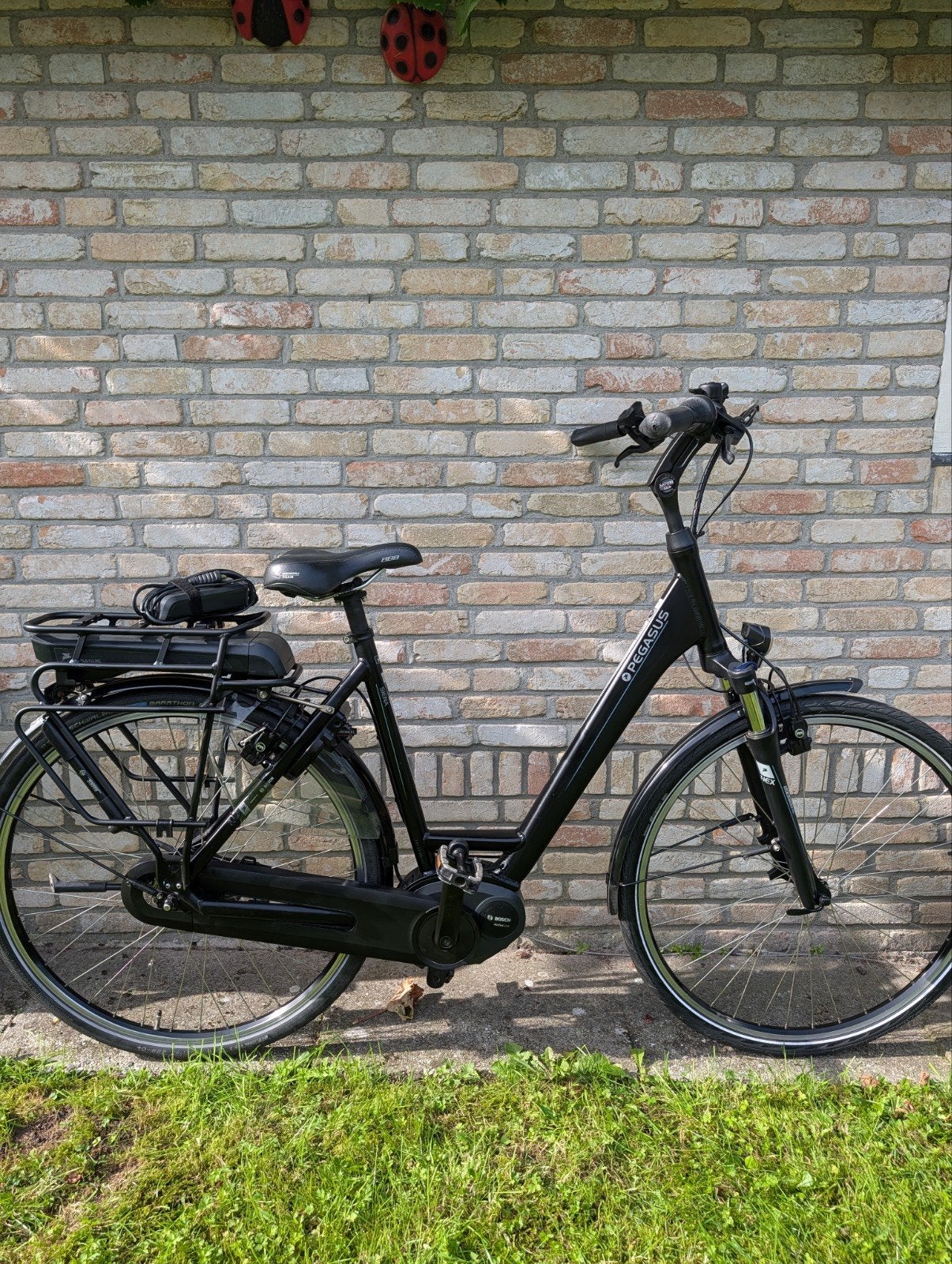 Pegasus Siena E7F met Bosch middenmotor, Overige merken, Gebruikt, Ophalen of Verzenden, 51 tot 55 cm