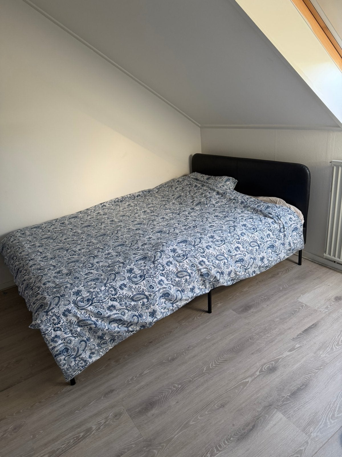 Bed Zwart, Groningen