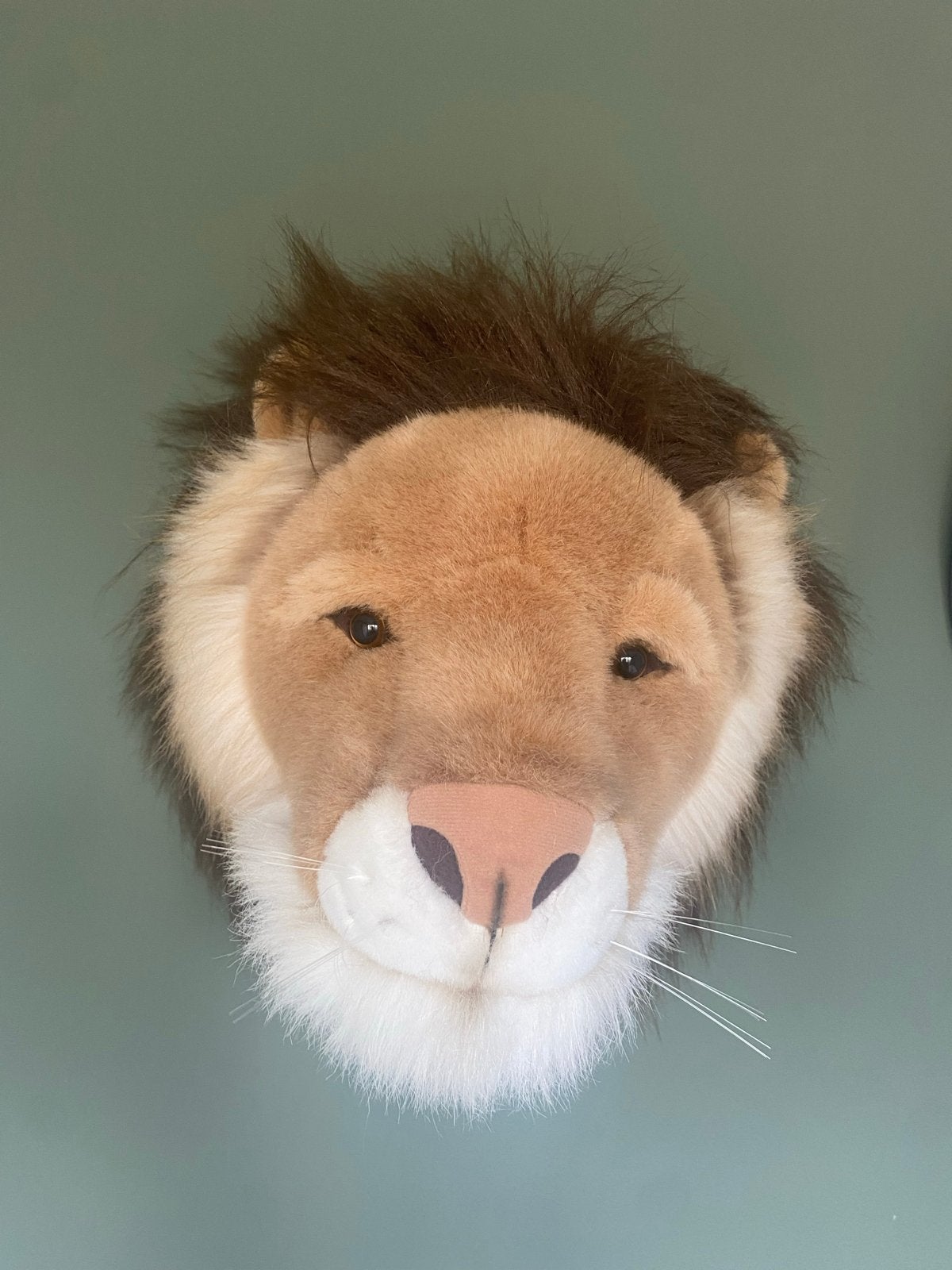 Set van 4 pluche dierenkoppen voor aan de muur, Ophalen, Zo goed als nieuw, Middelgroot (20 tot 80 cm), Leeuw