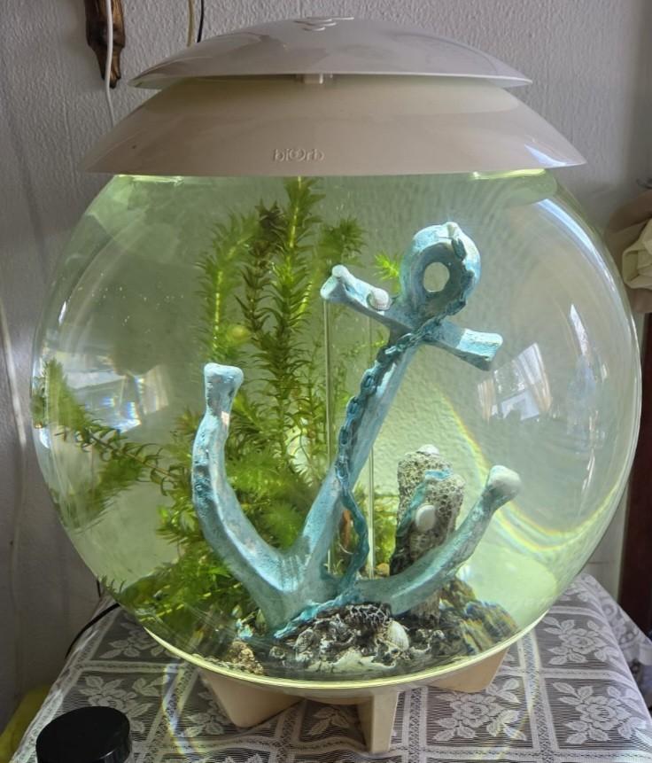 Mooie witte biorb aquarium, Ophalen, Zo goed als nieuw, Leeg aquarium