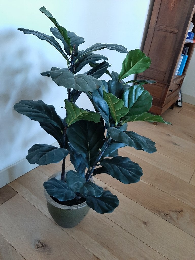 Kunstplant Tabacsplant (Fycys lyrata H95), Ophalen, Binnen, Groen, Kunstplant