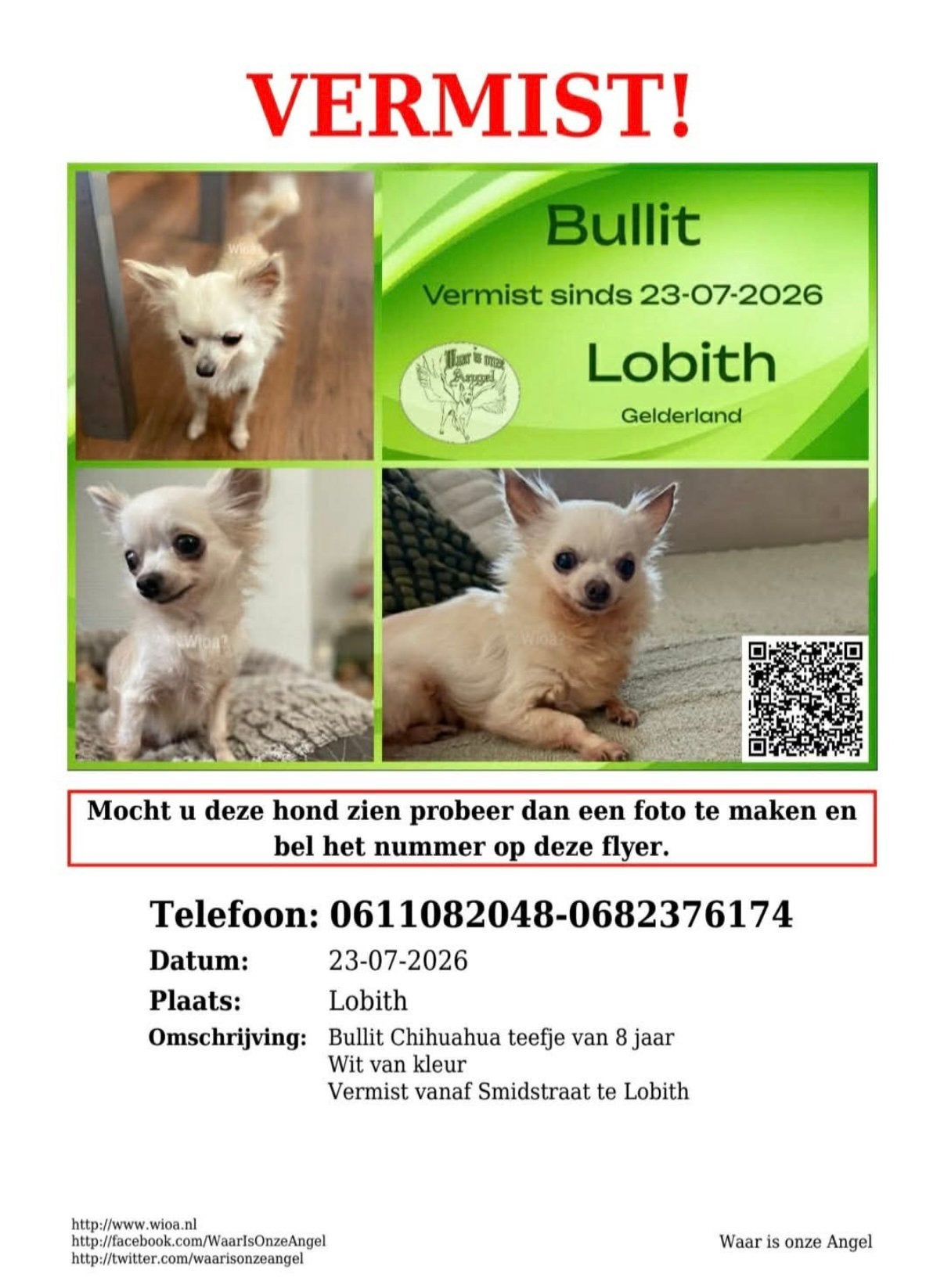 Bullit vermist