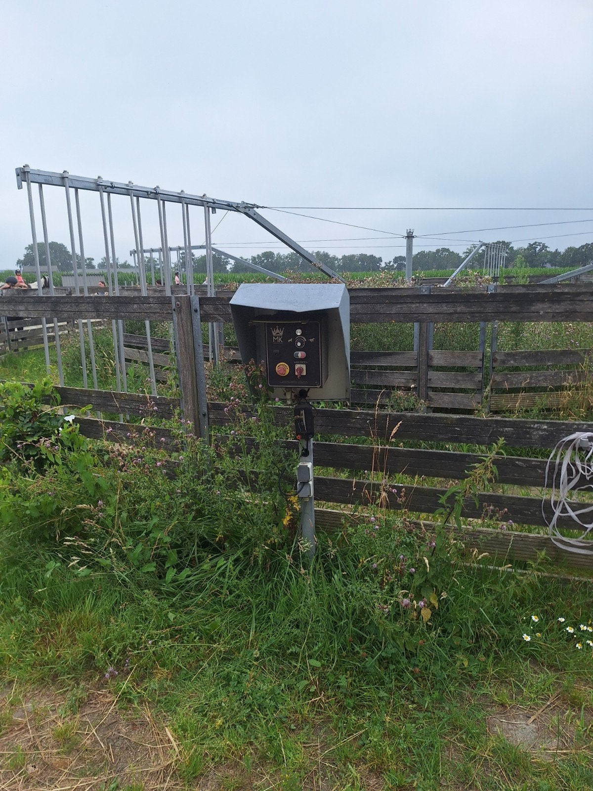 Te koop hout voor stapmolen, Dieren en Toebehoren, Stalling en Weidegang