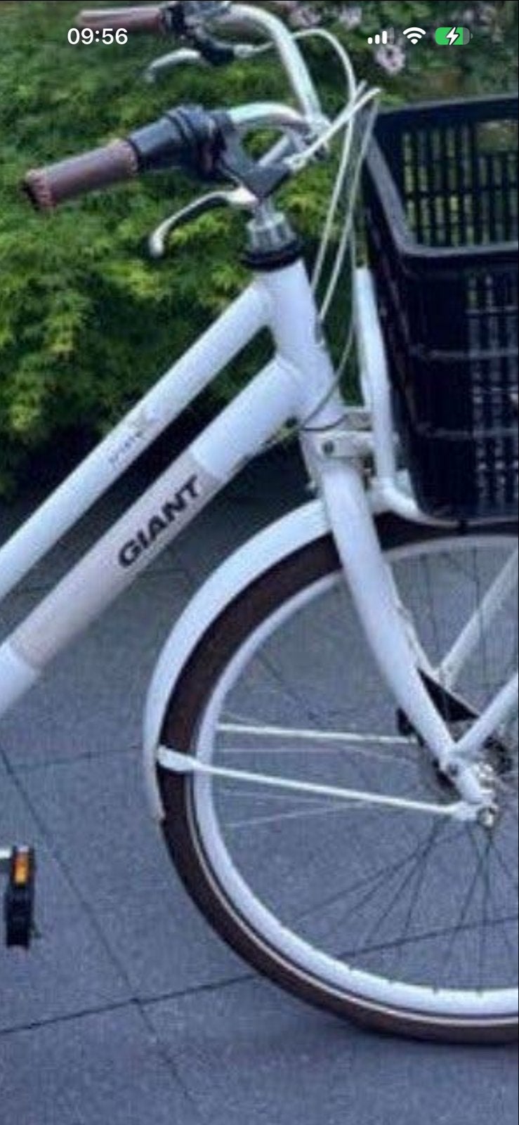 Giant Damesfiets met mandje - Zo goed als nieuw, Ophalen, (Extra) lage instap, Velgrem, Giant