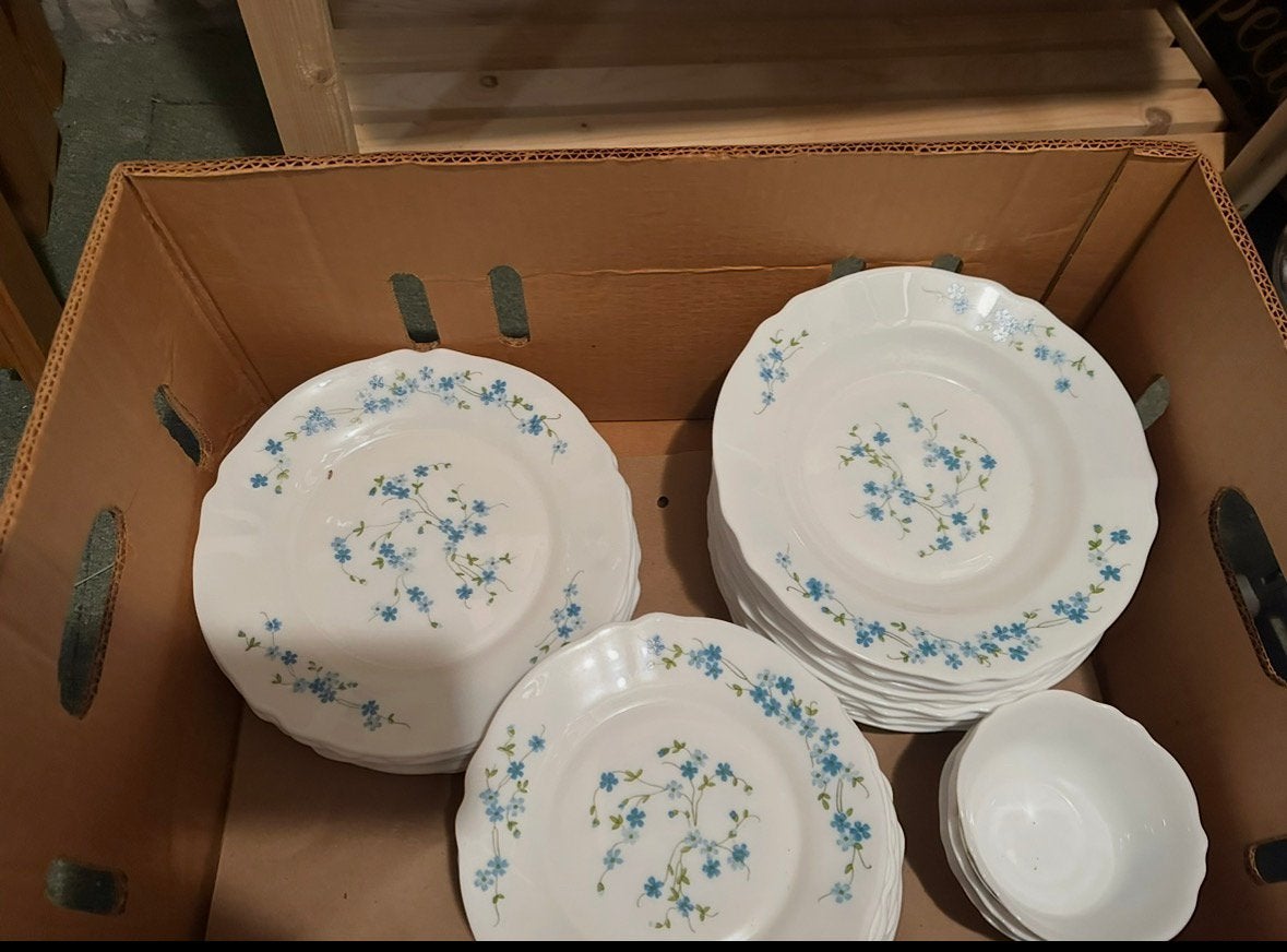 Arcopal Veronica Servies en Keukengerei - Vintage vergeet-mi, Ophalen