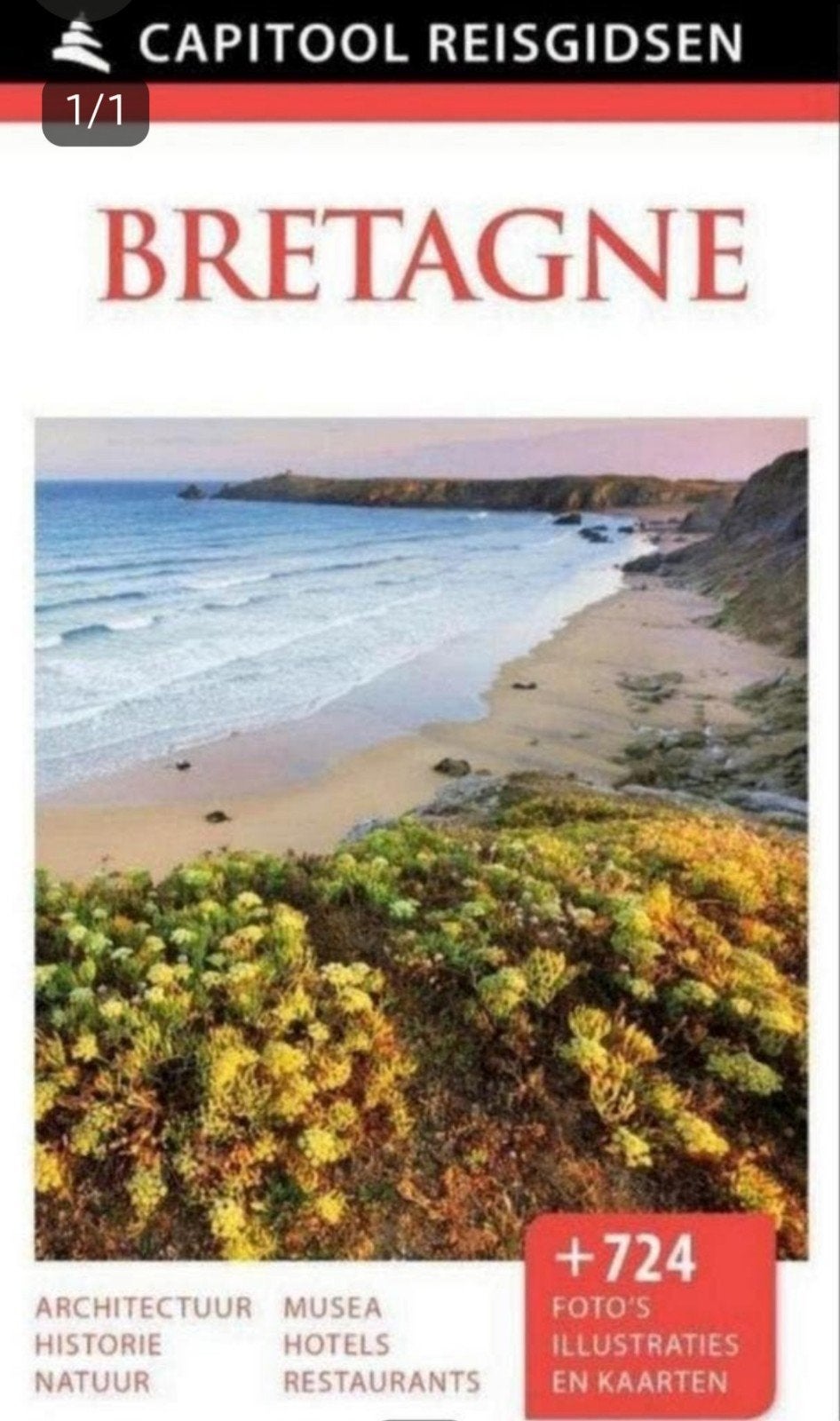 BRETAGNE capitool reisgids Nederlands, Boeken, Capitool, Europa, Ophalen of Verzenden, Zo goed als nieuw