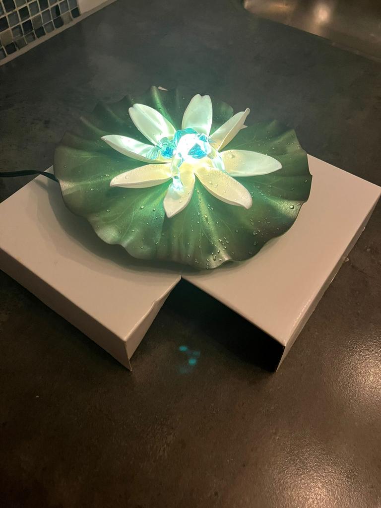 Drijvende waterlelie met kikker die licht kan geven, Tuin en Terras, Vijvers, Ophalen of Verzenden, Zo goed als nieuw
