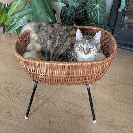 Vintage rotan mand op stalen pootjes, Dieren en Toebehoren, Kattenmanden, Ophalen, Gebruikt, Riet