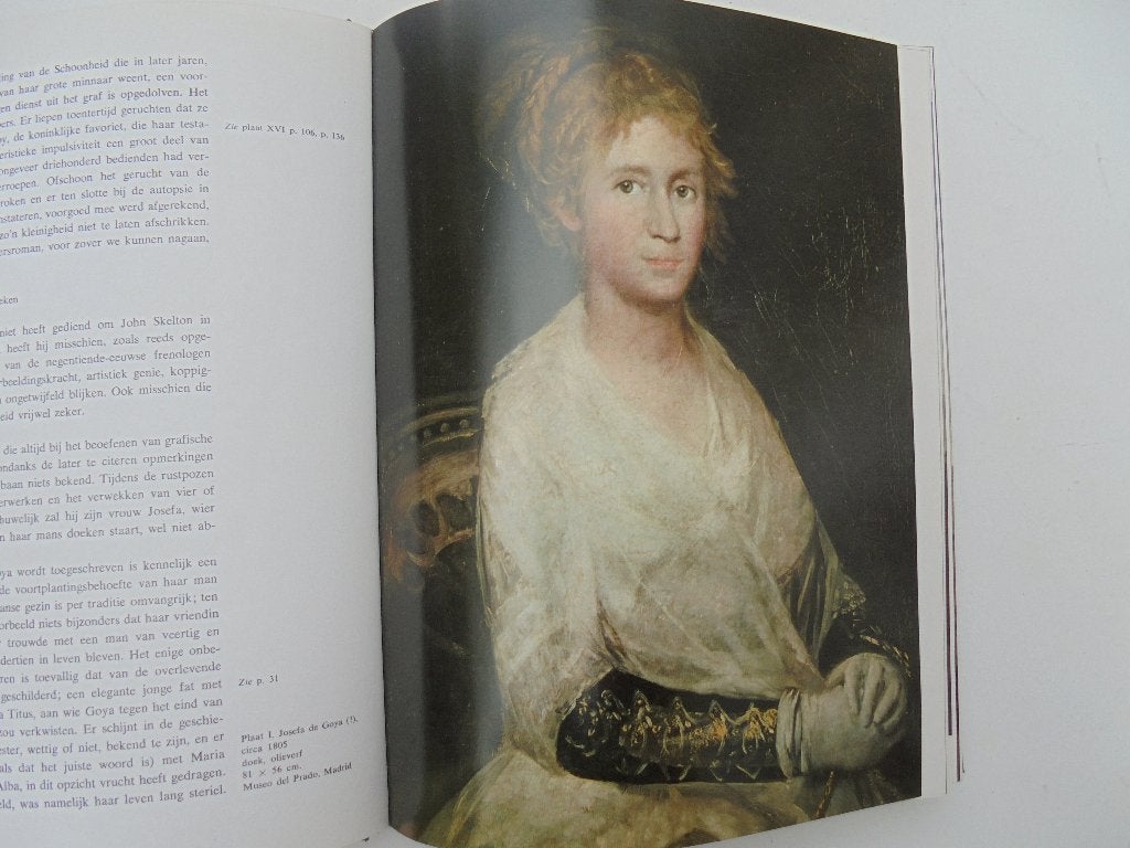 De wereld van Goya schilder (R4-55), Ophalen, Zo goed als nieuw