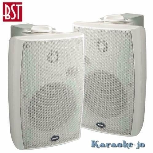 BST 370TW 100Volt Luidspreker set 2-weg 40 Watt
