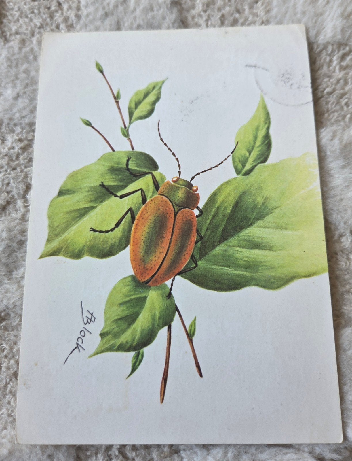 Goudhaantje, Verzenden, 1940 tot 1960, Ongelopen, Natuur
