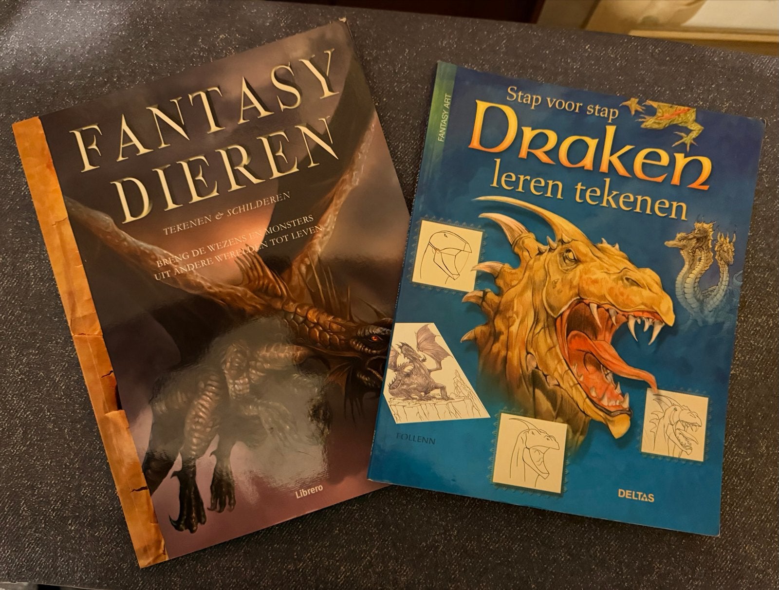 Tekenboeken: Fantasy Dieren & Draken leren tekenen, Ophalen of Verzenden, Gebruikt, Boek of Gids