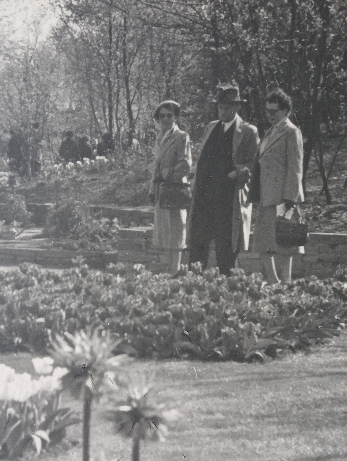 Piet Pijnenburg Oude foto De Keukenhof, Ophalen of Verzenden, 1940 tot 1960, Gebruikt, Overige onderwerpen