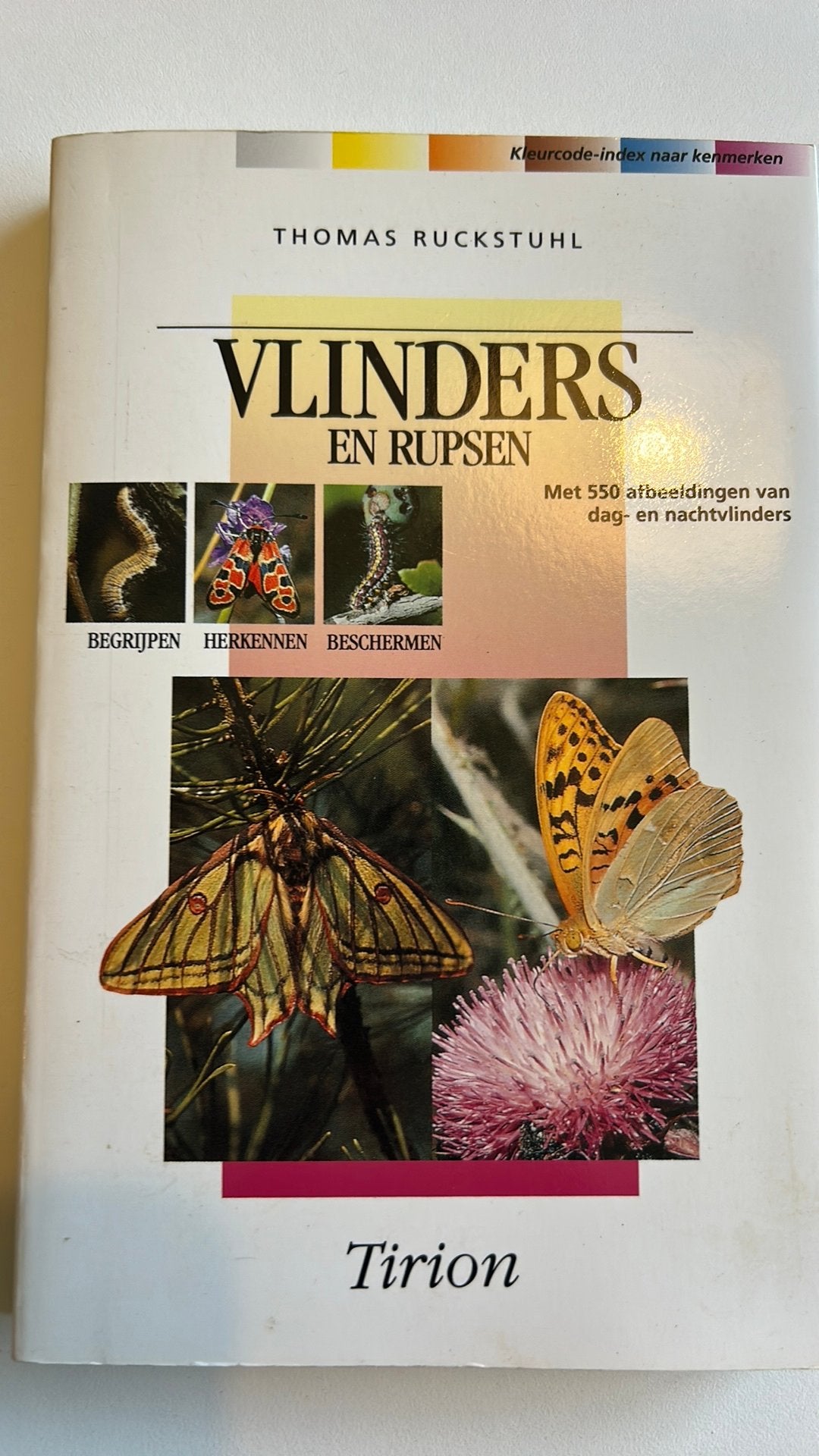 Vlinders en Rupsen - Thomas Ruckstuhl, T. Ruckstuhl, Ophalen of Verzenden, Zo goed als nieuw, Natuur algemeen
