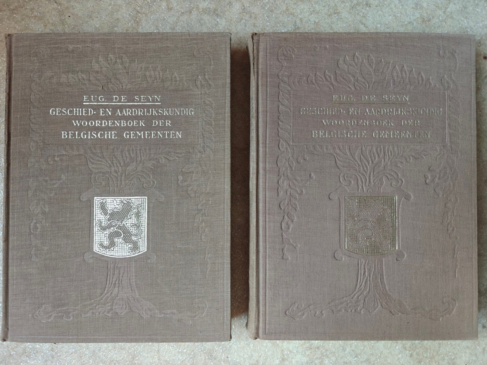 Geschied- en Aardrijkskundig Woordenboek Belgische Gemeenten, Ophalen of Verzenden, Gelezen, Eug. De Seyn