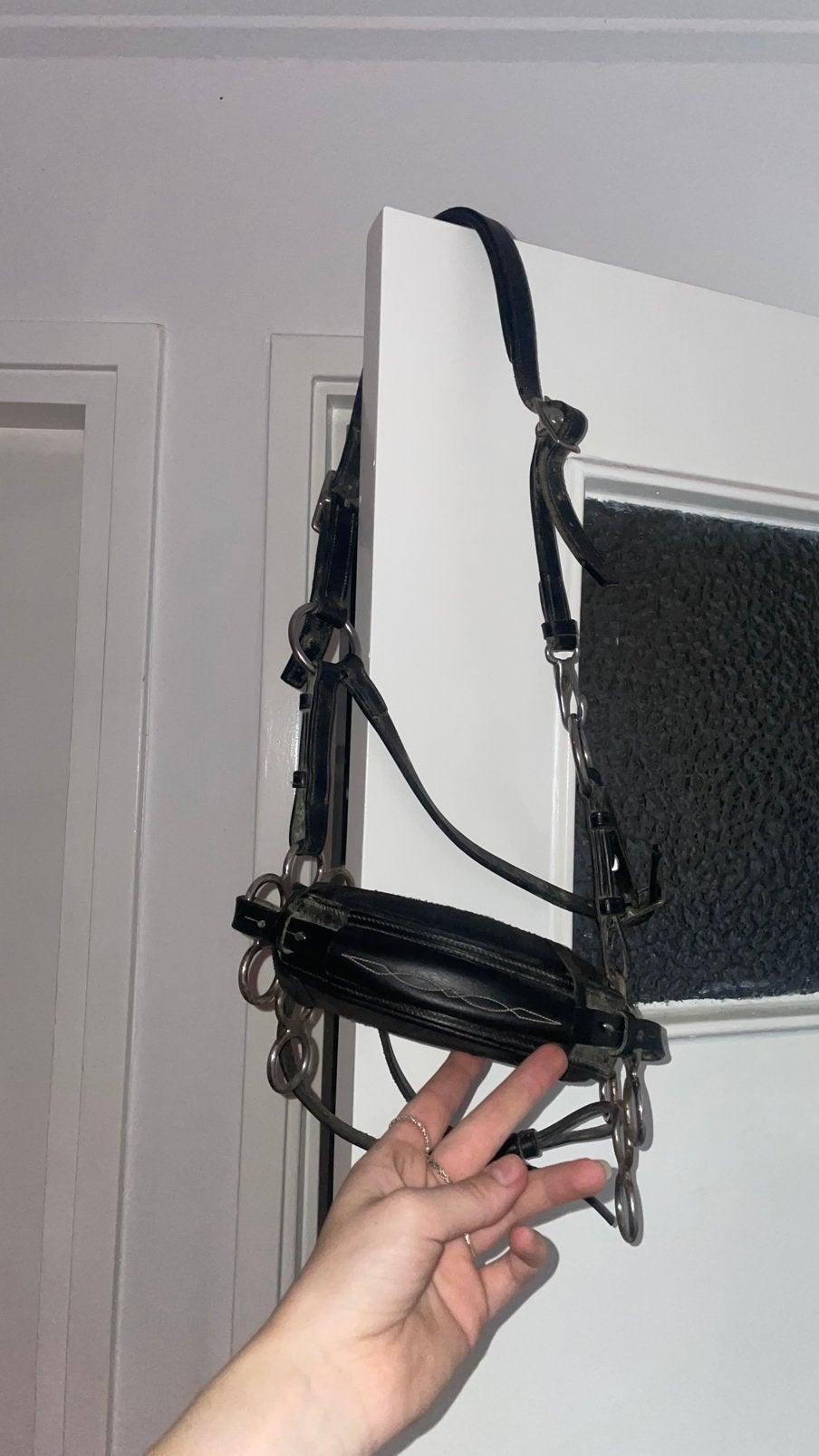 Hackamore fra, Ophalen of Verzenden, Gebruikt