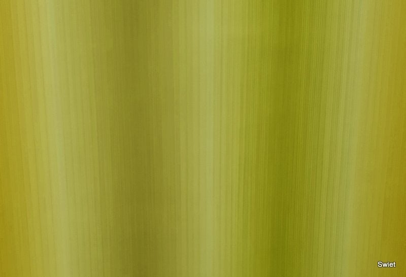 13097 oud vintage strepen behang met gemêleerd patroon swiet, Verzenden, Groen