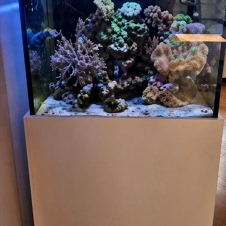 Zee aquarium Aquaja Diamondline  275, Ophalen, Gebruikt, Aquariummeubel, Overige merken