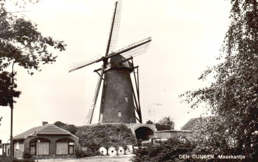 Den Dungen Molen Maaskantje, Ophalen, 1940 tot 1960, Ongelopen, Noord-Brabant