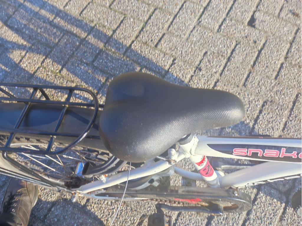 Batavus Snake jongens 20 inch  + blauwe alpina 20 inch, Gebruikt, 20 inch, Niet ingevuld, Ophalen