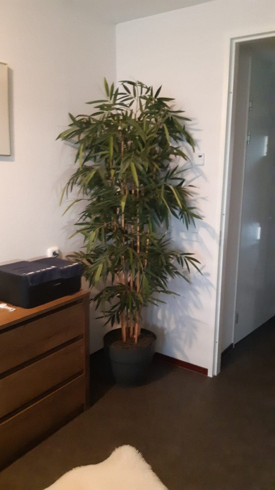 mooie kunstplant, Ophalen, Zo goed als nieuw