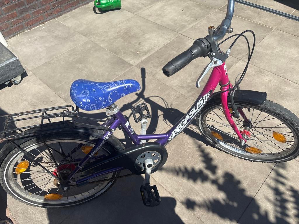 Pegasus Youngstar kinderfiets - paars/roze, Ophalen of Verzenden, Gebruikt, Velgrem, 16 tot 20 inch