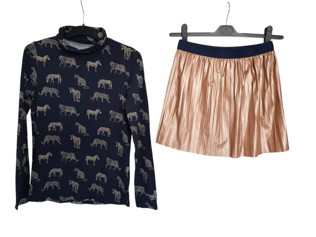Geweldige WE zebra / tijger longsleeve blauw maat 146-152., Zo goed als nieuw, Shirt of Longsleeve, WE Fashion, Verzenden