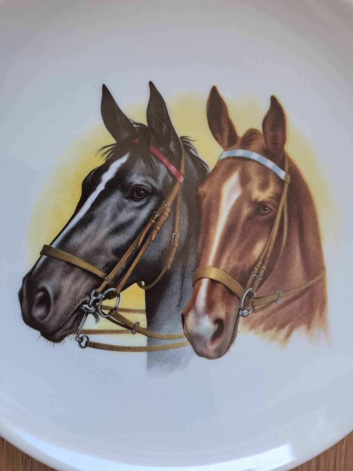 Vintage wandbord porselein met 2 paarden., Ophalen of Verzenden