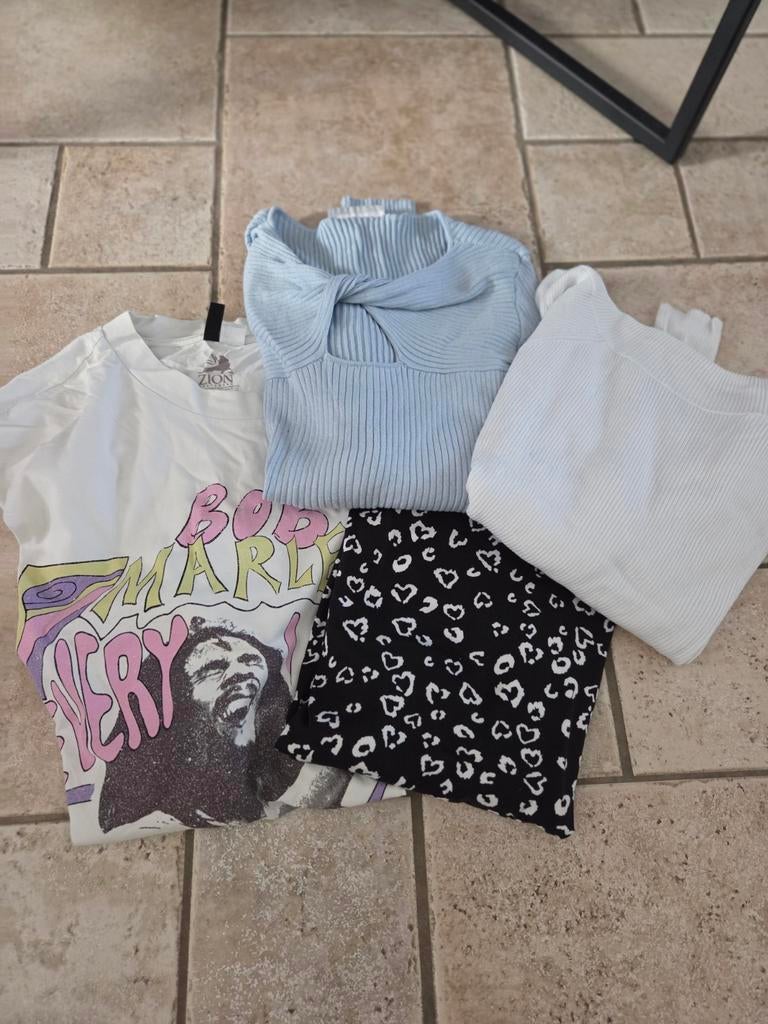 Kledingpakket maat L, Kleding | Dames, Ophalen of Verzenden, Zo goed als nieuw, Maat 42/44 (L)