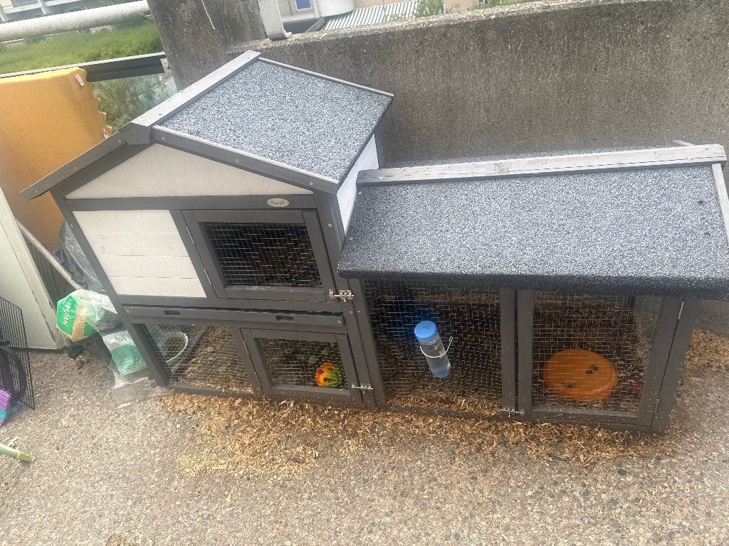 Hok en een aparte hok, Dieren en Toebehoren, Konijnen, Vrouwelijk, Groot