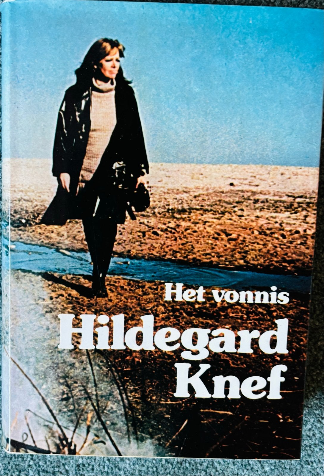 Het vonnis - Hildegard Knef (Boek), Boeken, Ophalen of Verzenden, Gelezen