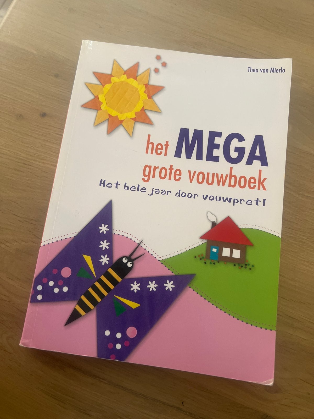 Het MEGA Grote Vouwboek - Thea van Mierlo, Boeken, Ophalen of Verzenden, Zo goed als nieuw, Scrapbooking en Knutselen, Geschikt voor kinderen