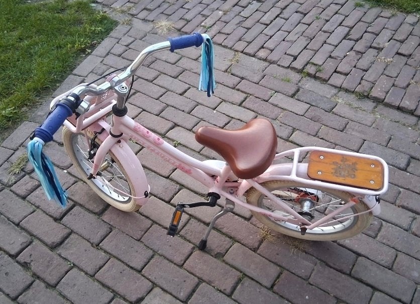 Meisjes fiets 12 inch, Ophalen, Terugtraprem, Zijwieltjes, Gebruikt