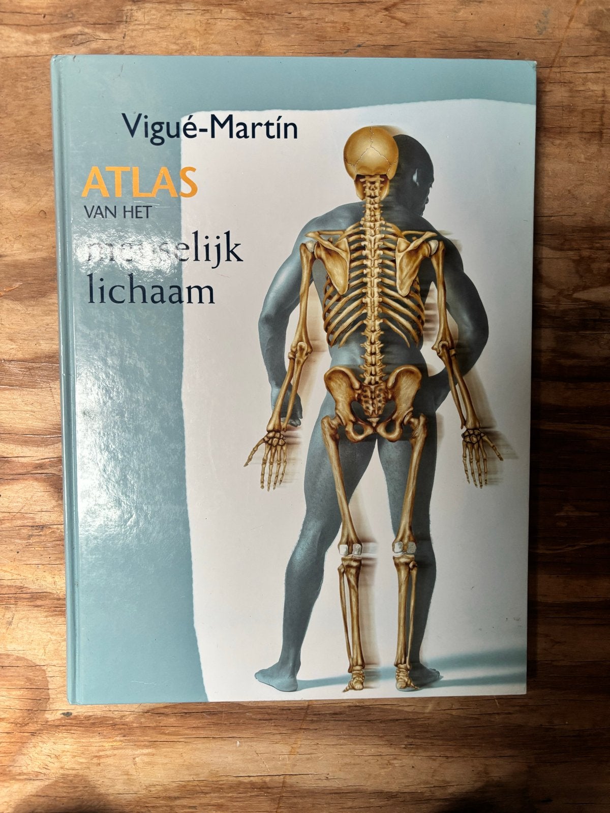 Atlas van het Menselijk Lichaam - Anatomieboek, Boeken, Ophalen of Verzenden, Zo goed als nieuw, Natuurwetenschap
