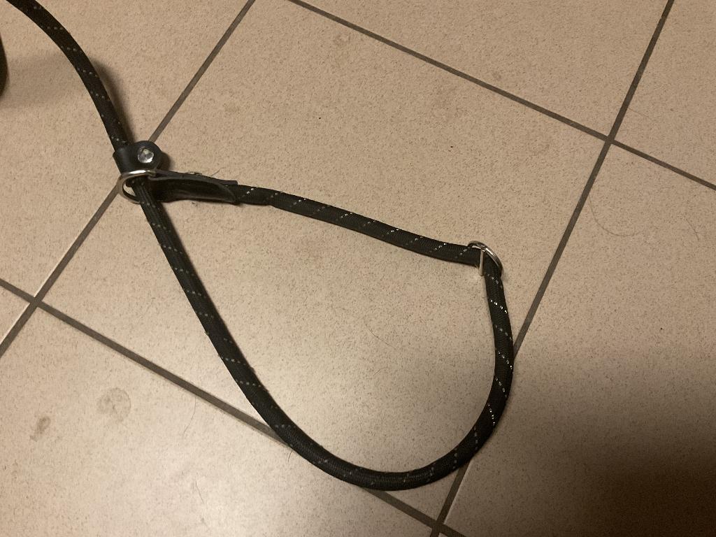Hunter trainingskoord, Ophalen, Zo goed als nieuw, Hondenriem