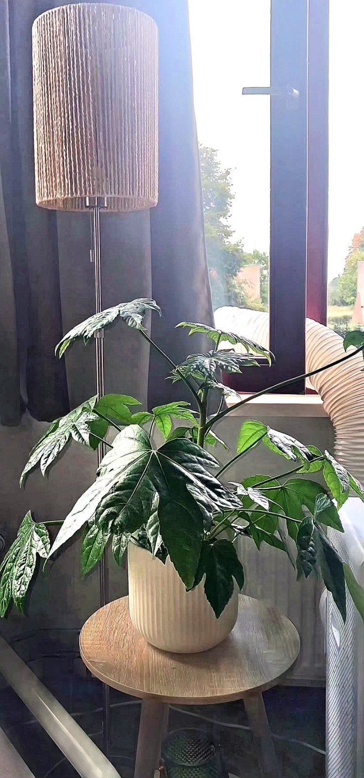 Stijlvolle vloerlamp met een kap van touw,zgan, Ophalen, Modern, Bohemian, E27 (groot), Zo goed als nieuw
