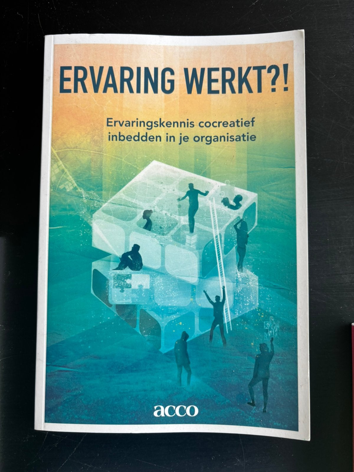 Didier Reynaert - Ervaring werkt, Sociale wetenschap, Ophalen of Verzenden, Zo goed als nieuw, Didier Reynaert