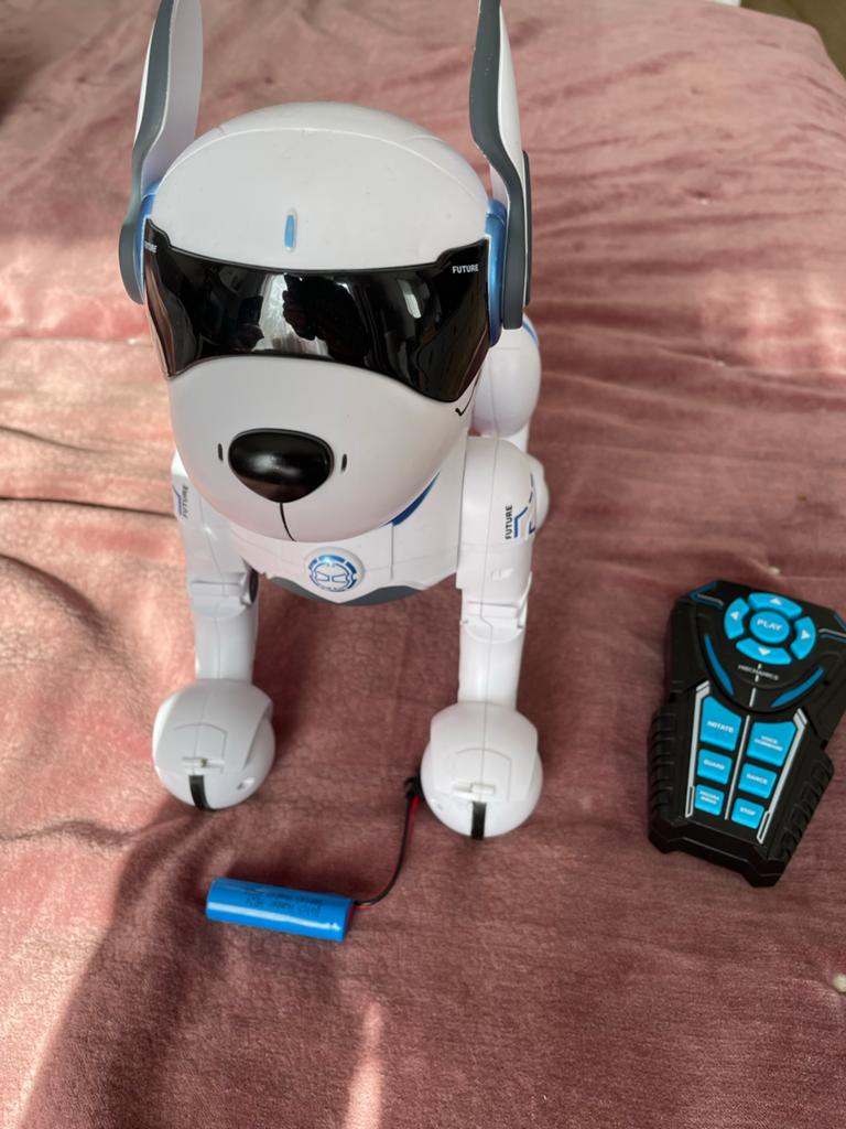 Interactieve Robot Hond - Dansen, Imitatie, Programmeerbaar, Ophalen of Verzenden, Zo goed als nieuw