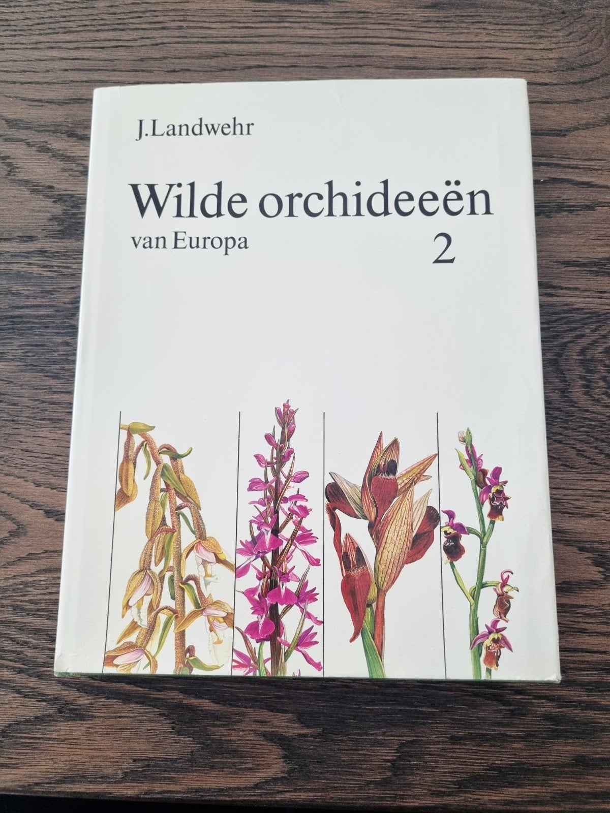Wilde orchideeën van Europa 2 - J. Landwehr, Boeken, Gelezen, Bloemen, Planten en Bomen, Verzenden, J. Landwehr