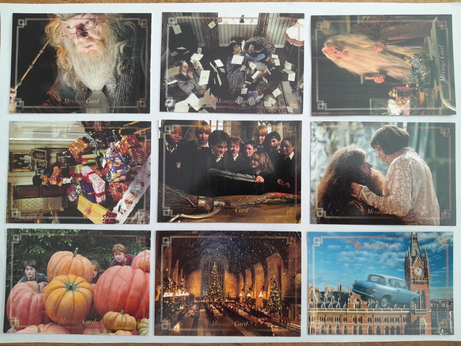 Harry Potter A Year at Hogwarts Panini Trading Cards, Ophalen of Verzenden, Zo goed als nieuw, Overige typen