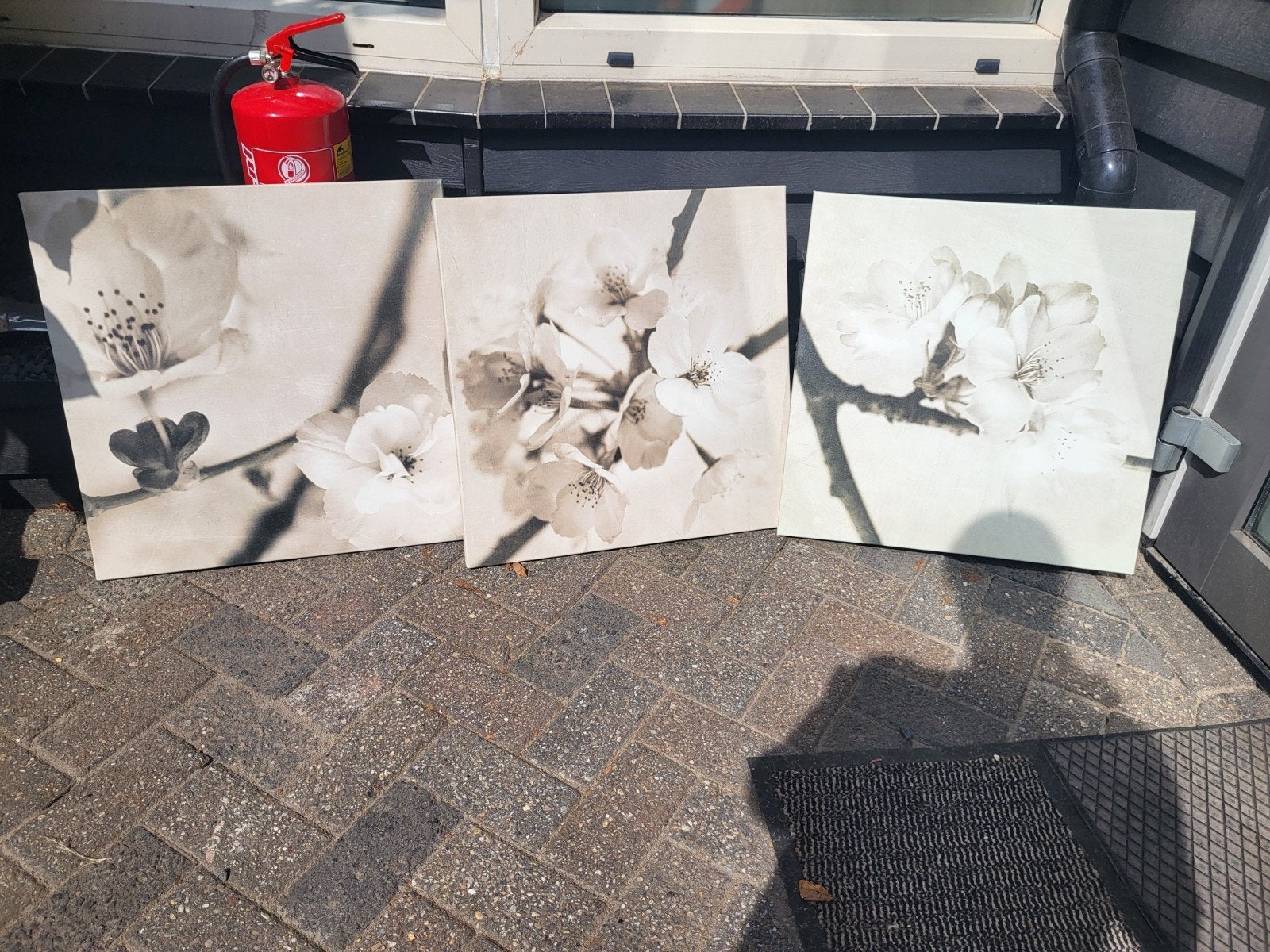 3 IKEA Canvasdoeken Bloesem Takken 40x40 cm, Minder dan 50 cm, Gebruikt, Ophalen of Verzenden, Print