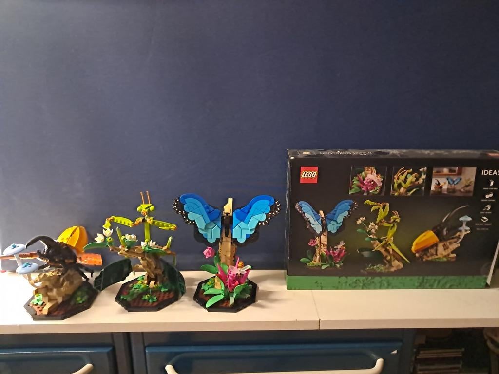 Lego de insecten collectie 21342, Ophalen, Zo goed als nieuw