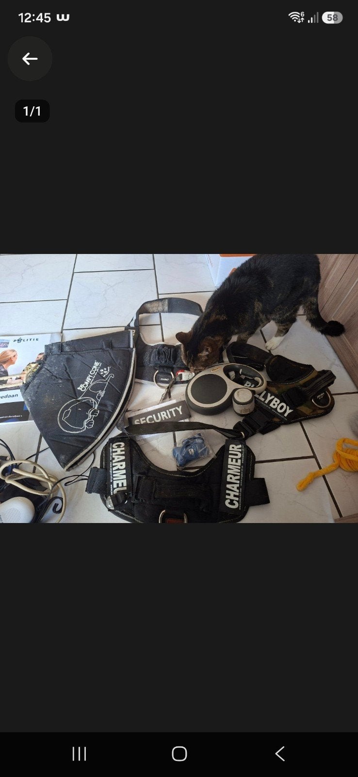 Honden tuigjes, Ophalen, Gebruikt