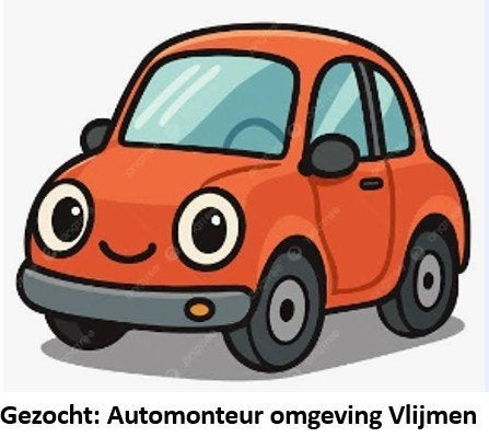 Auto monteur gezocht omgeving Vlijmen, Ophalen of Verzenden